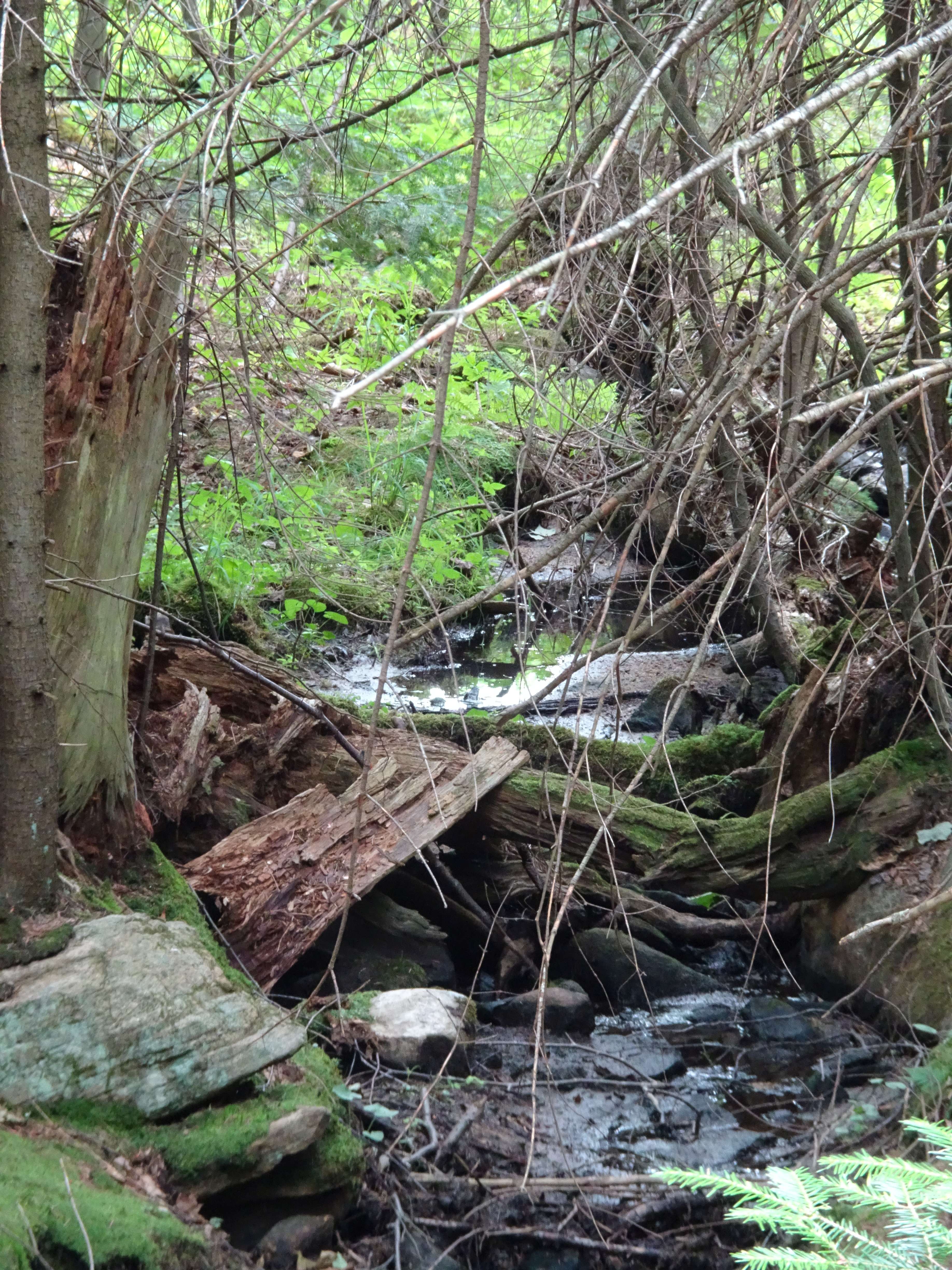 Alles sehr schön, nur die ausgesprochen fiesen Mücken stören.