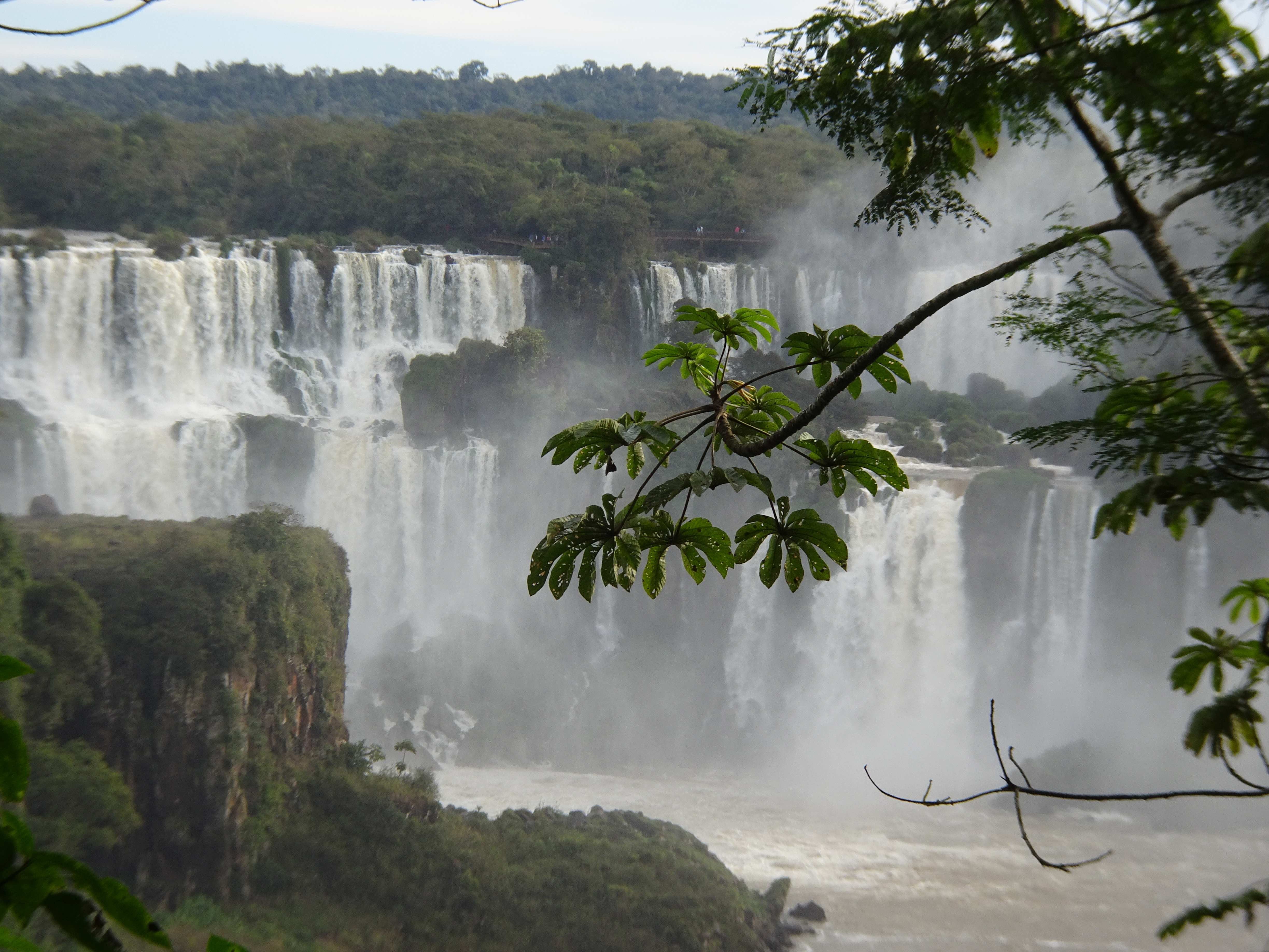 Die brasilianische Seite.