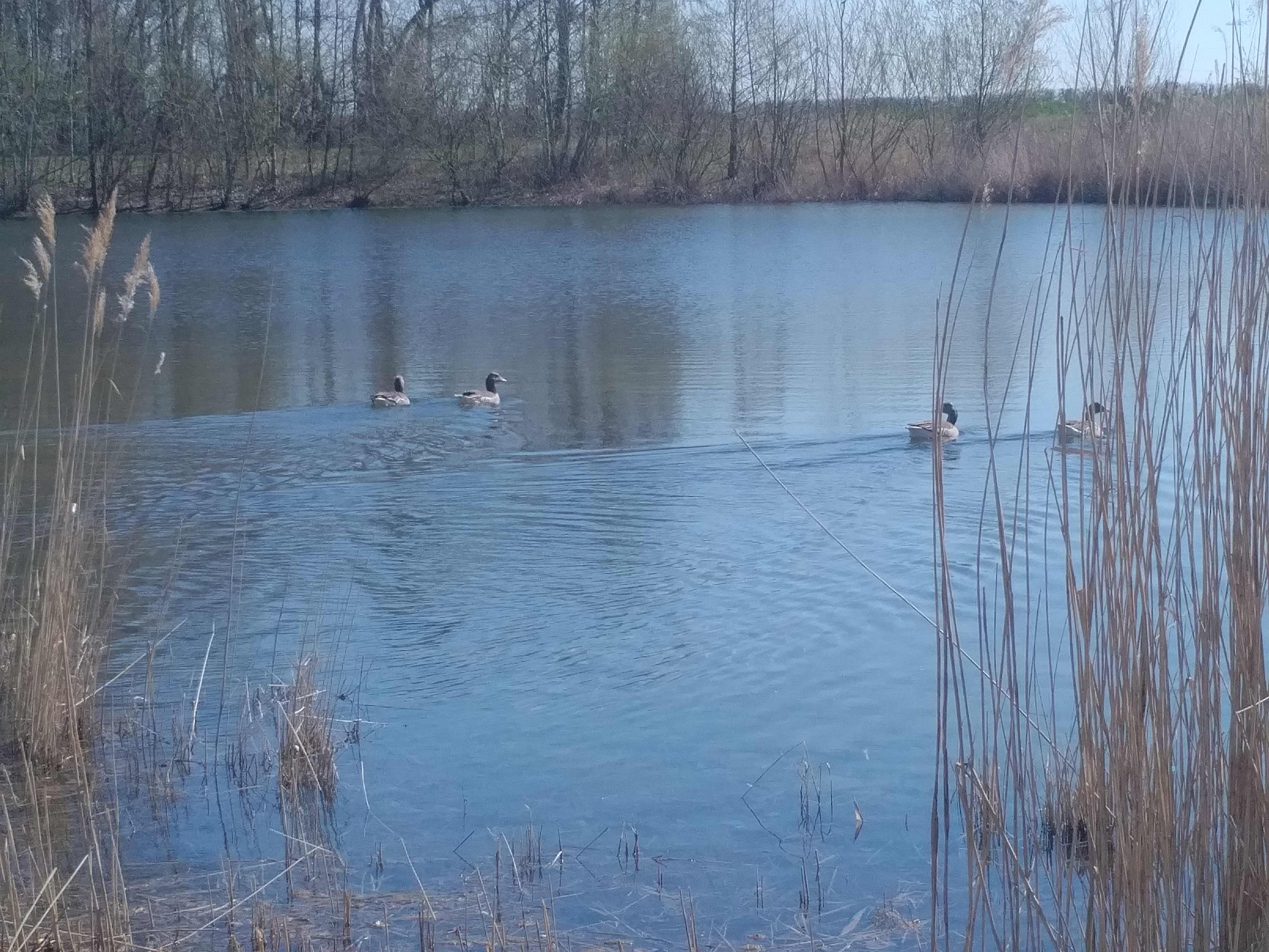 Und die Umgebung erkunden.