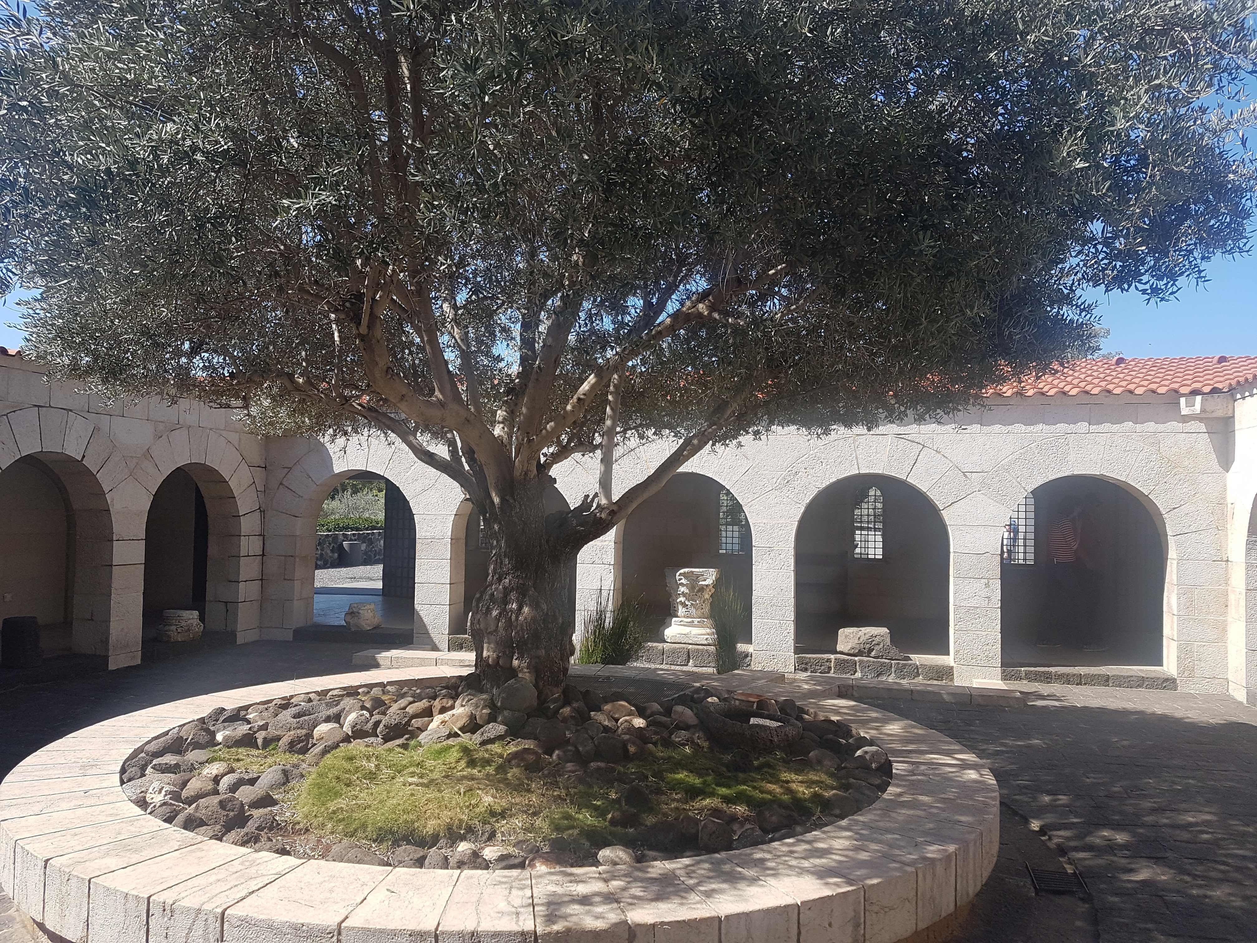 Church of Multiplication