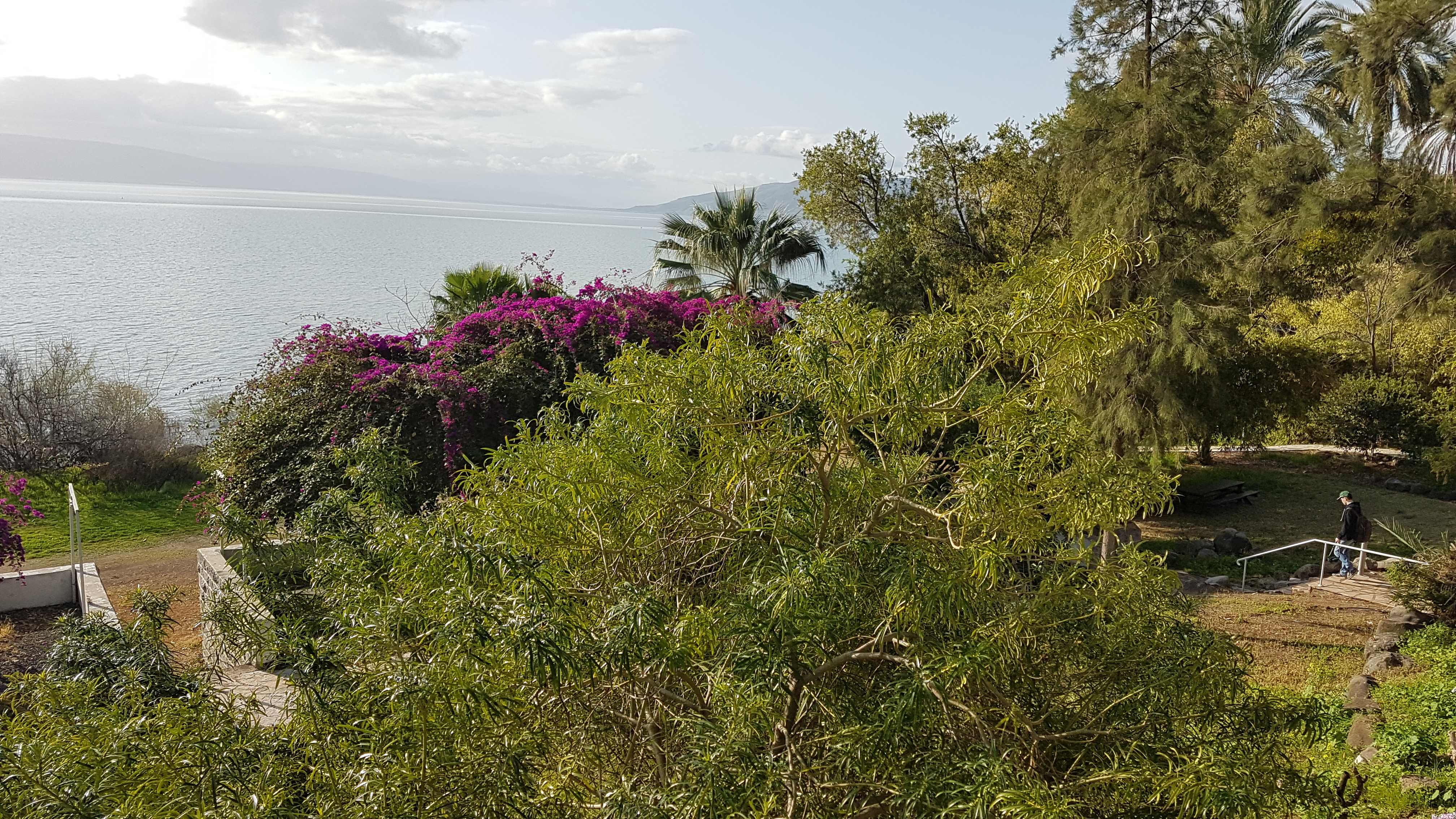Start in Galiläa: Tabgha