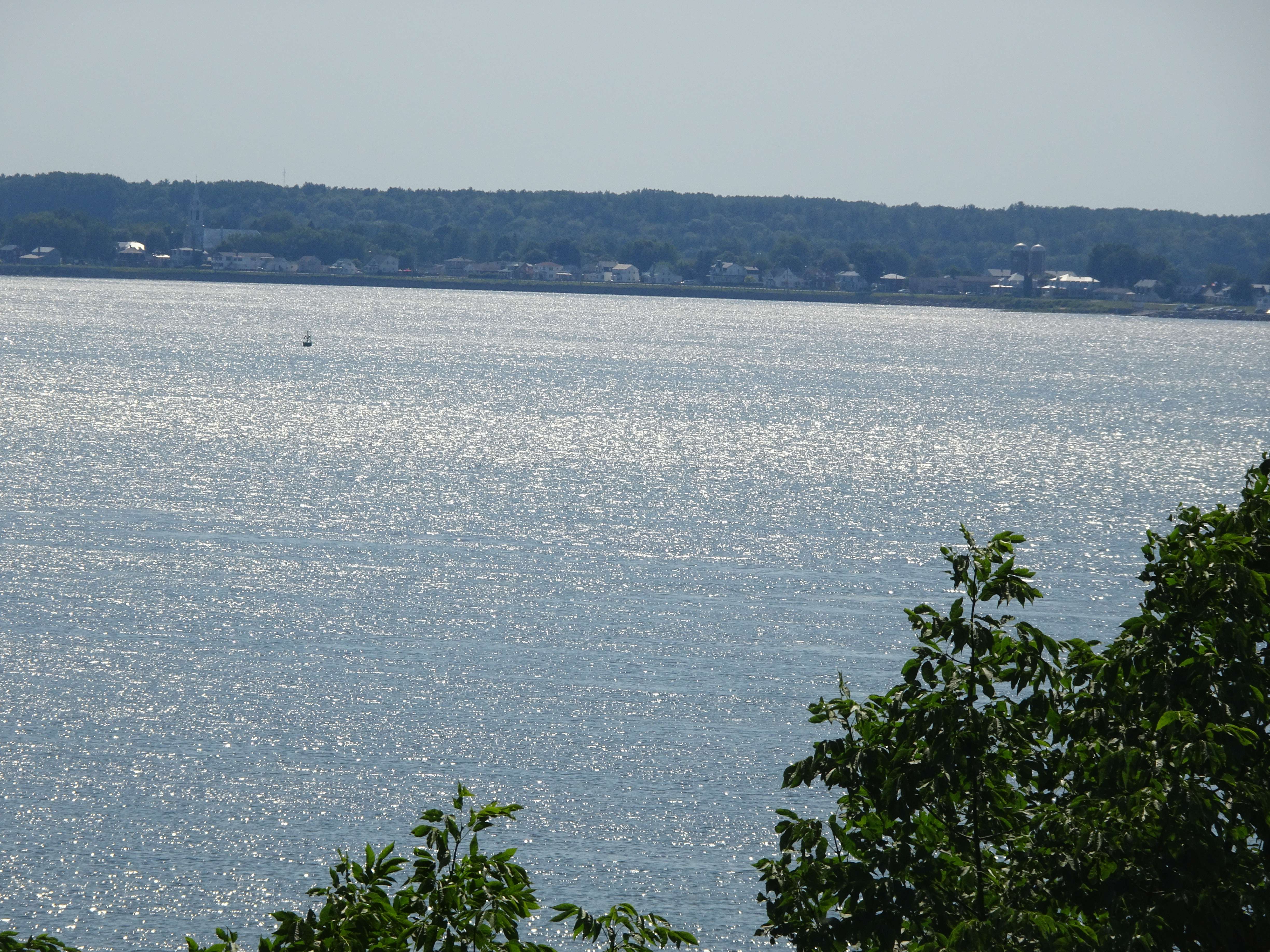 Der St. Lorenz-Strom ist hier etwas breiter und zunächst mal ein steter Begleiter...