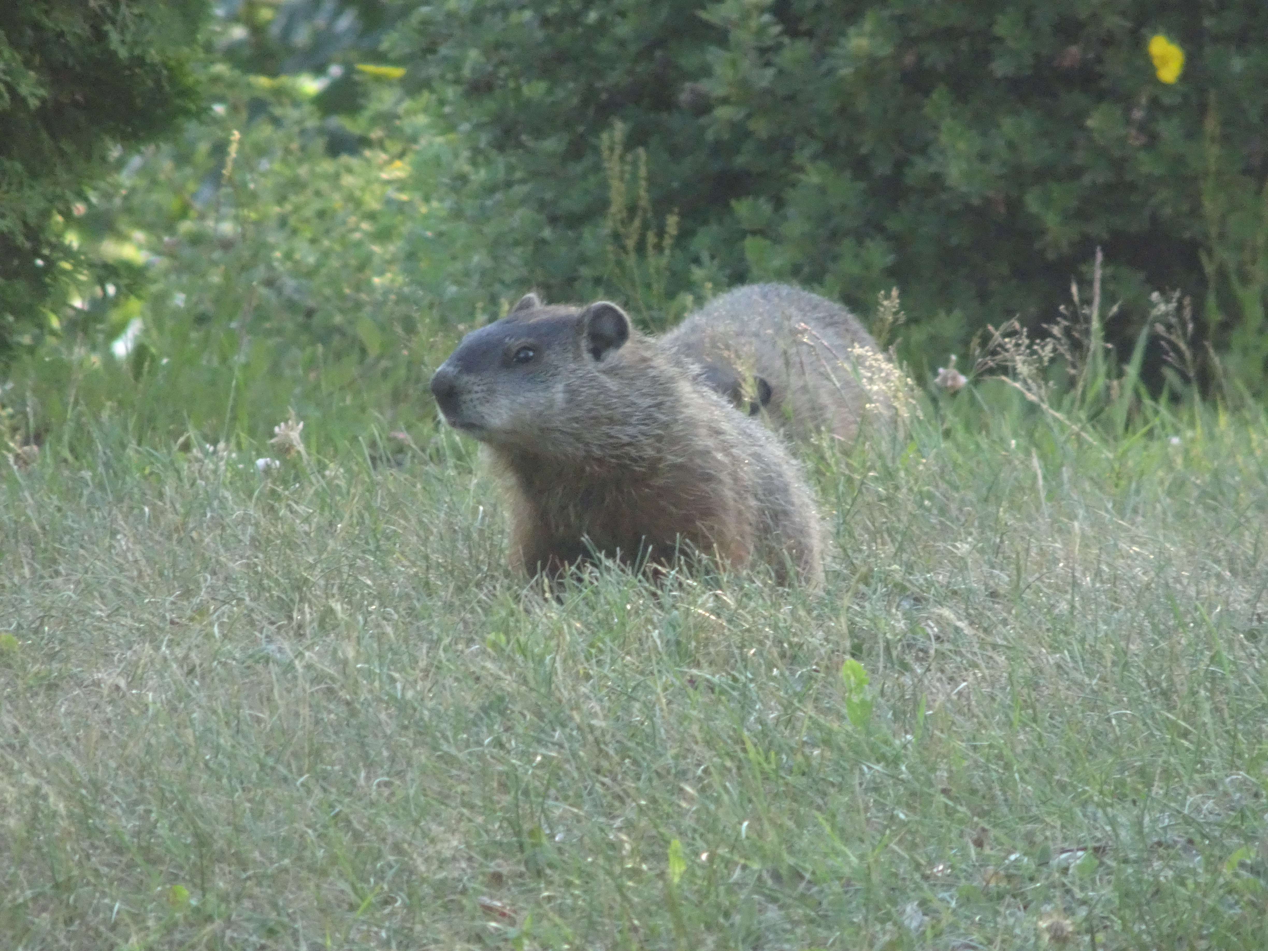 Im Parc national du Canada de la Mauricie