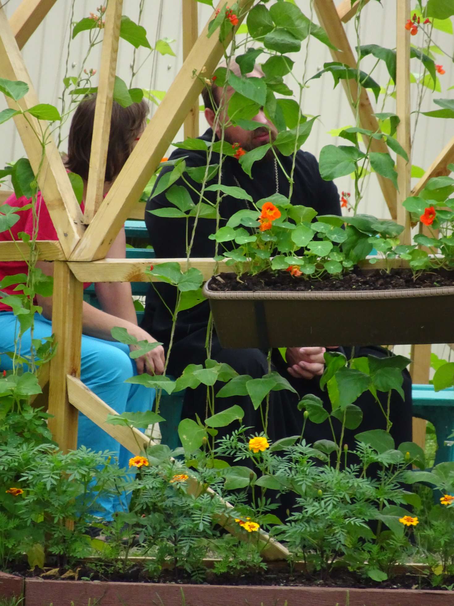 Der Mönch in der Kapuzinerkresse