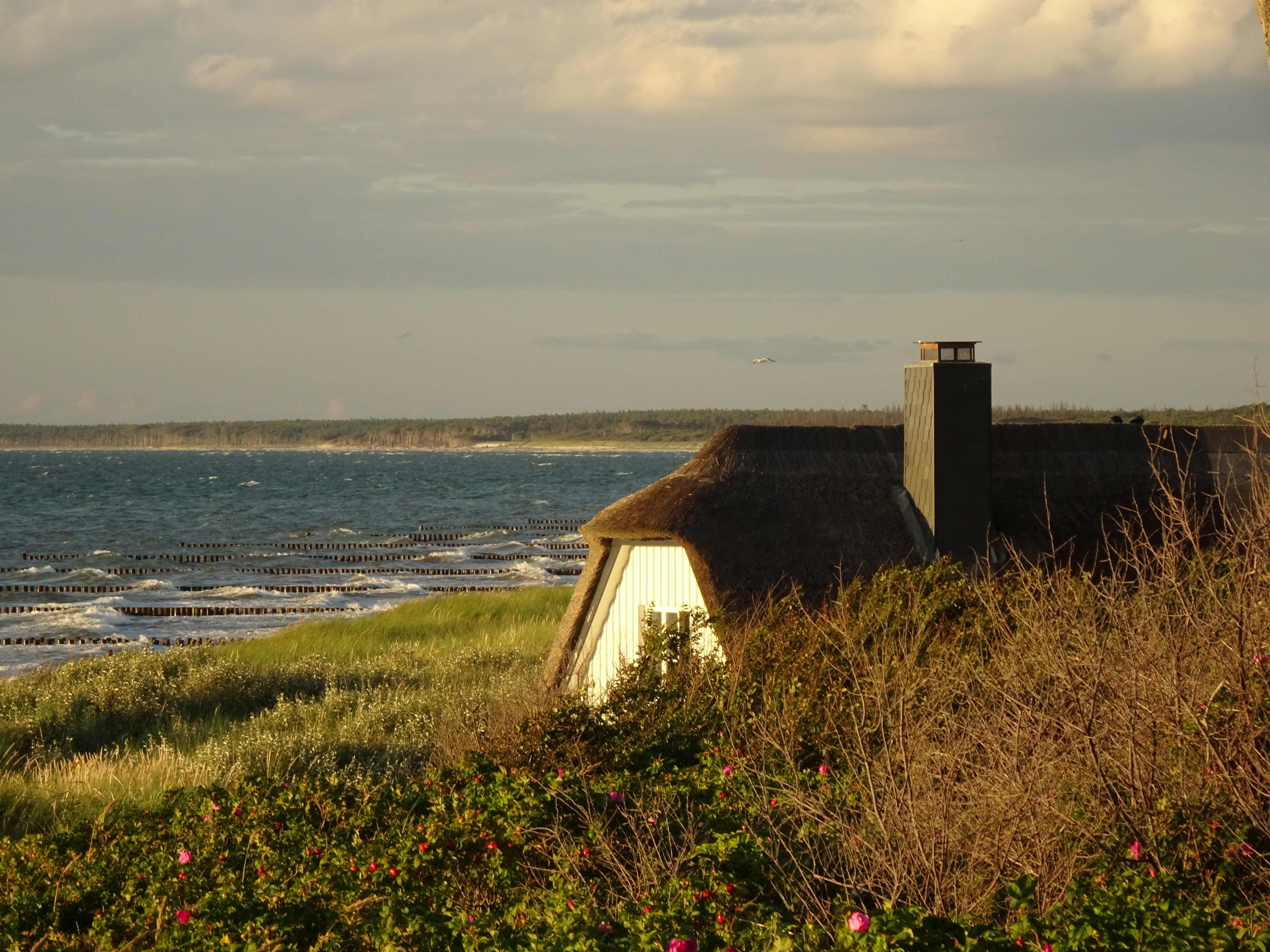 Das beliebteste Photomotiv in Ahrenshoop und: unsere Ferienwohnung!