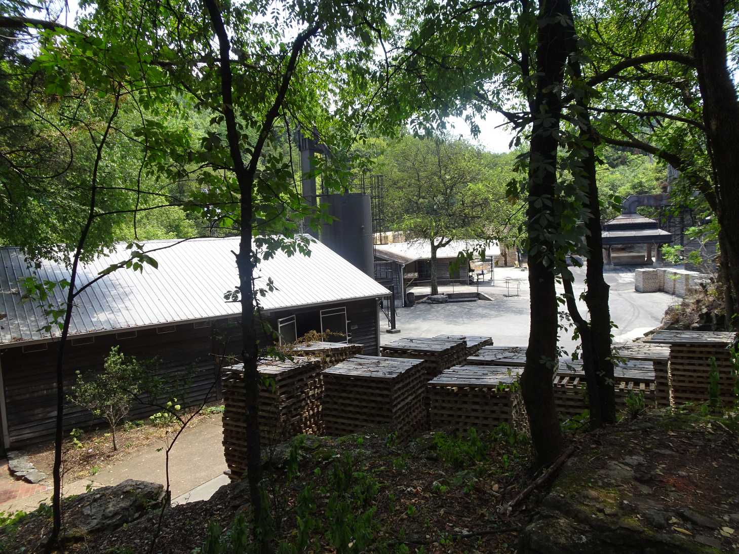 Fast wie in der Werbung... Werksbesichtigung bei Jack Daniels