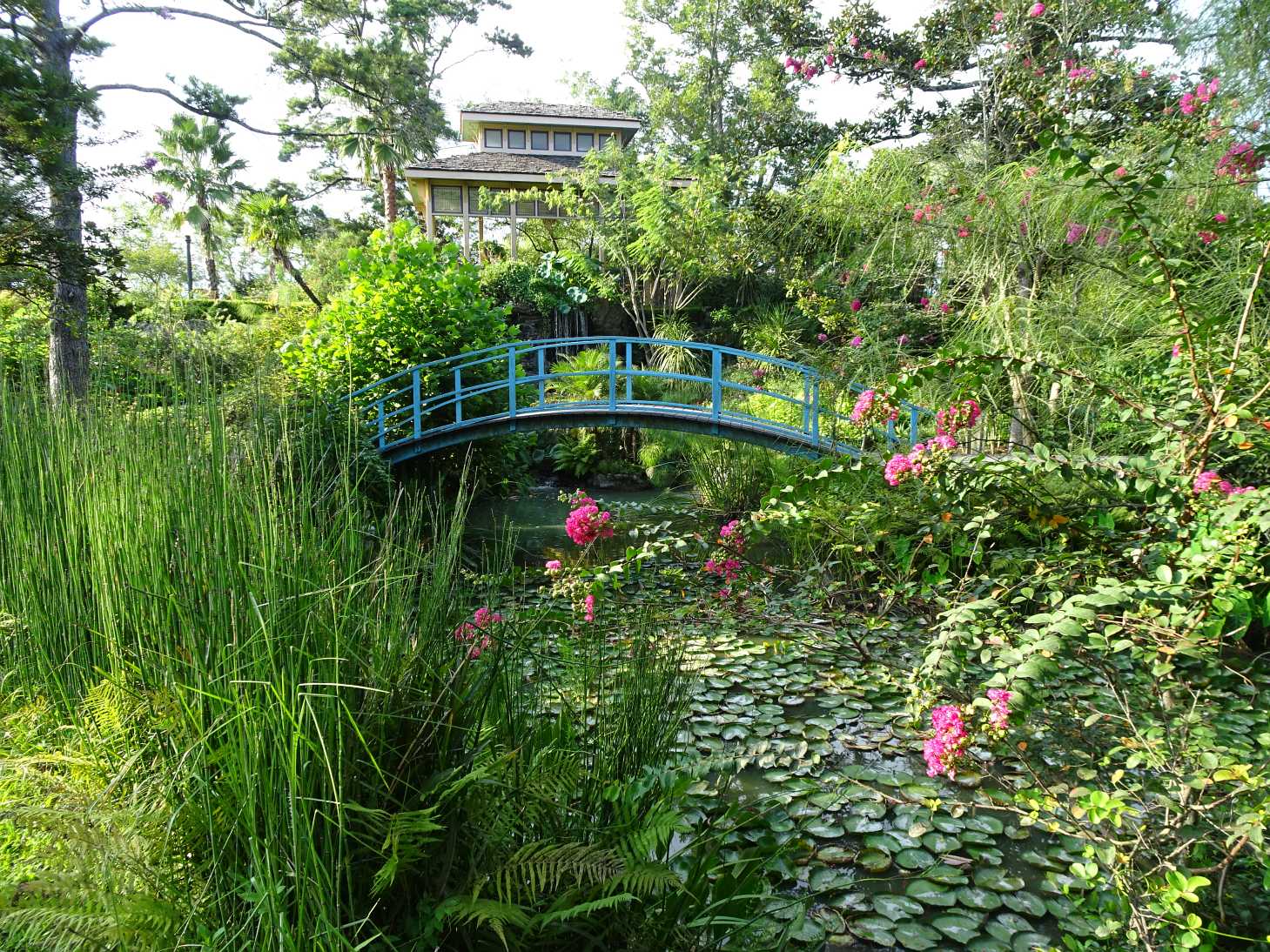 Wir wohnen auf dem traumhaften Parkgelände.