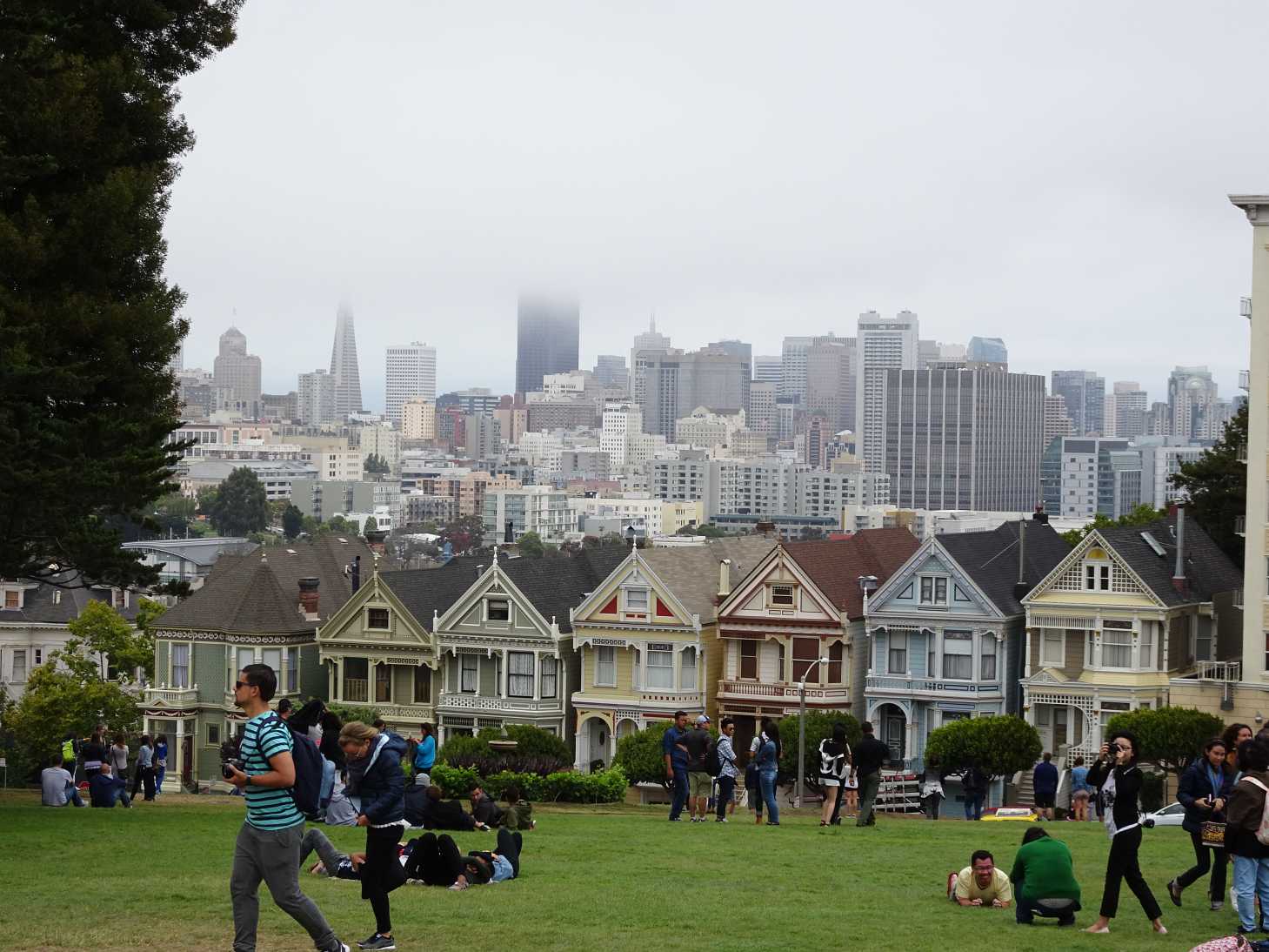 Die "Painted Ladies"