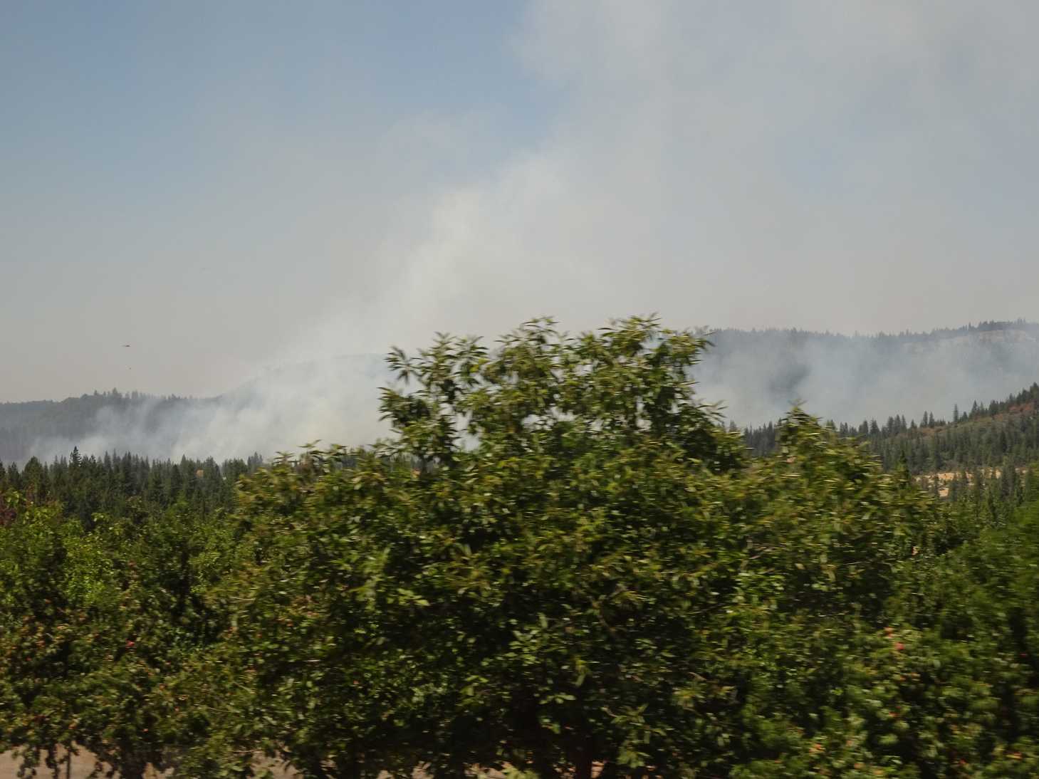 An den Waldbränden vorbei